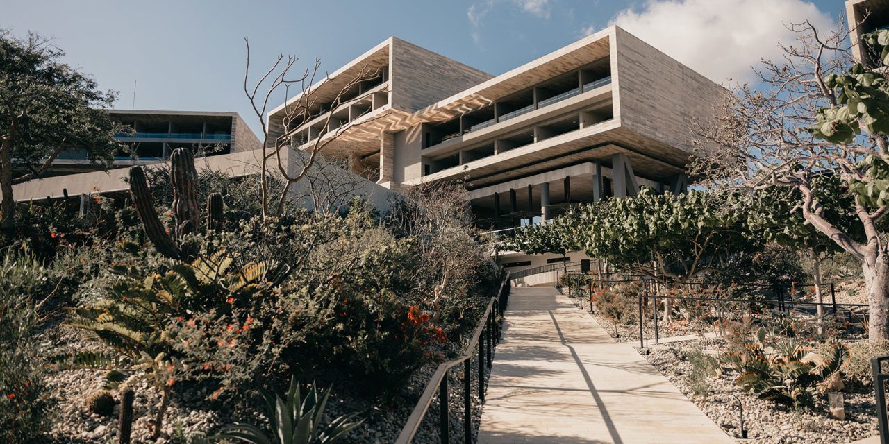 Solaz 2.0Solaz is back and better than ever