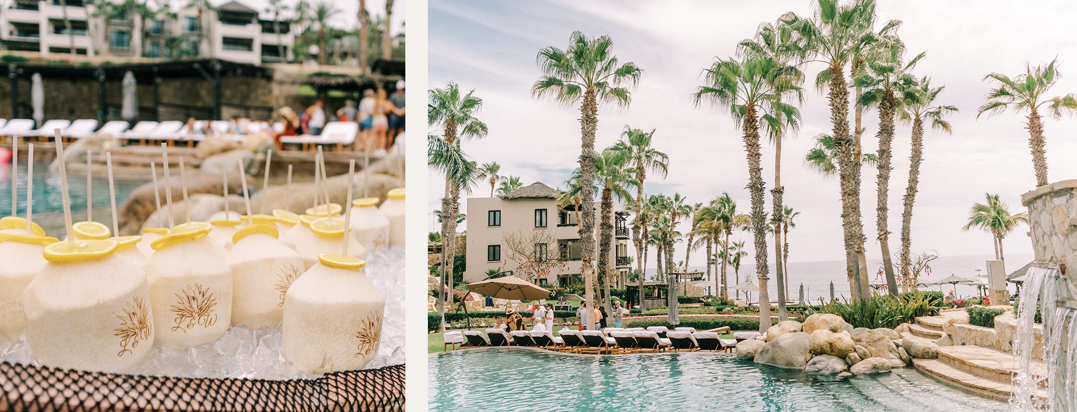 image-14 https://lynette.tssit.com.mx/wp-content/uploads/2023/10/image-14-2.jpg