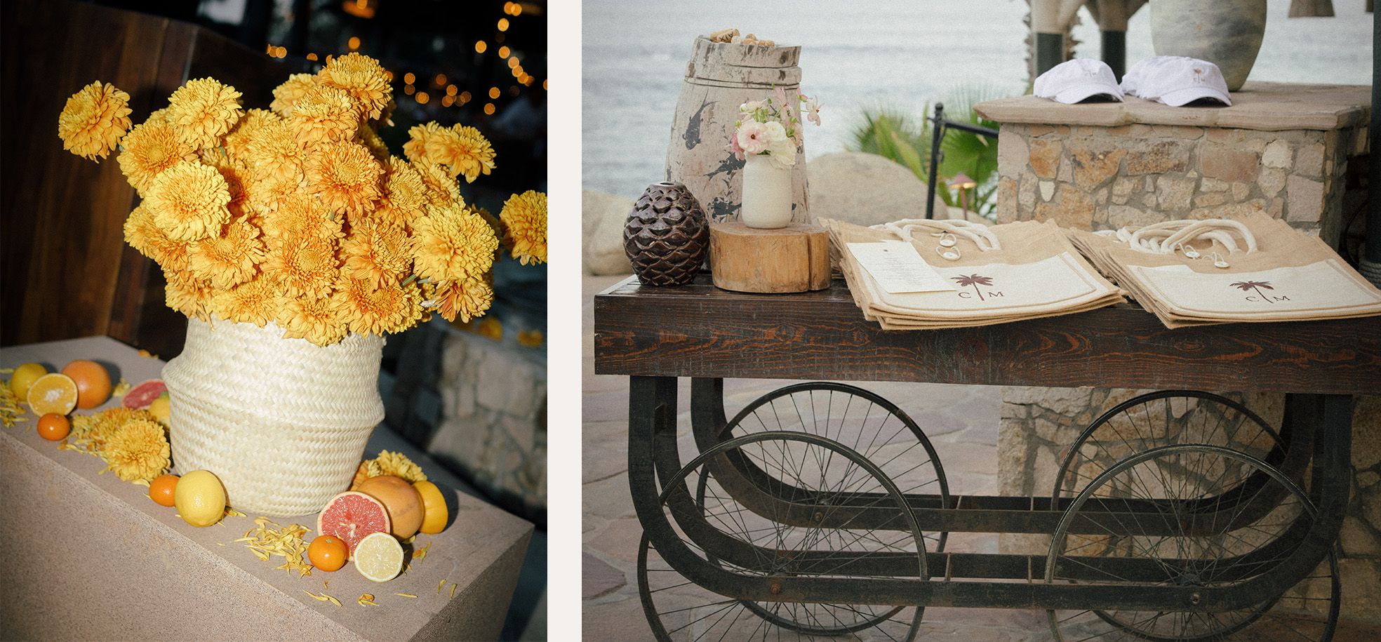 image-11 https://lynette.tssit.com.mx/wp-content/uploads/2024/03/image-11-1.jpg