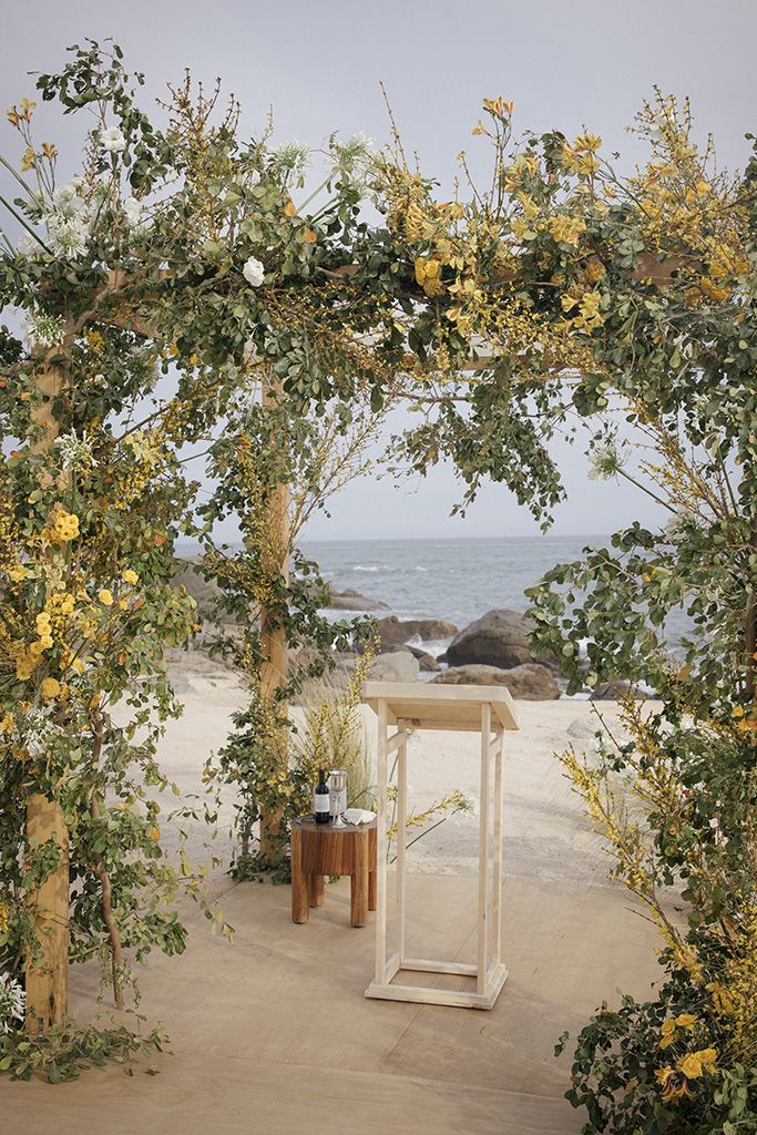 image-21 https://lynette.tssit.com.mx/wp-content/uploads/2024/03/image-21-1.jpg