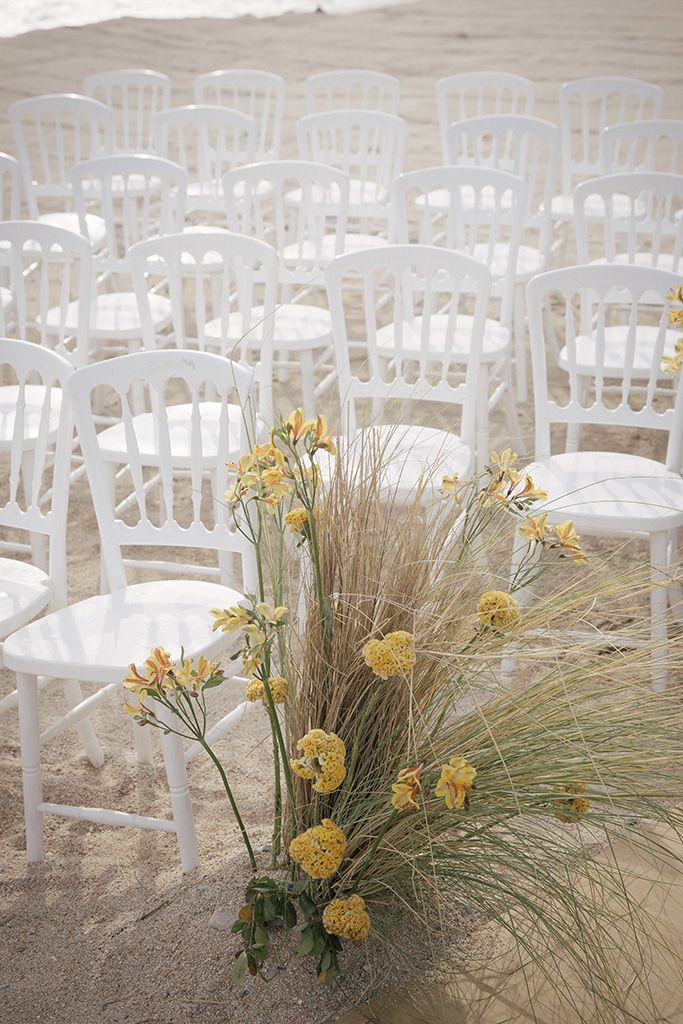 image-22 https://lynette.tssit.com.mx/wp-content/uploads/2024/03/image-22-1.jpg