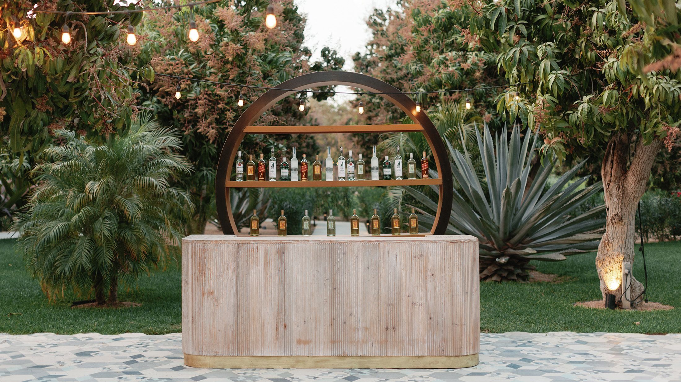 image-22 https://lynette.tssit.com.mx/wp-content/uploads/2024/03/image-22.jpg