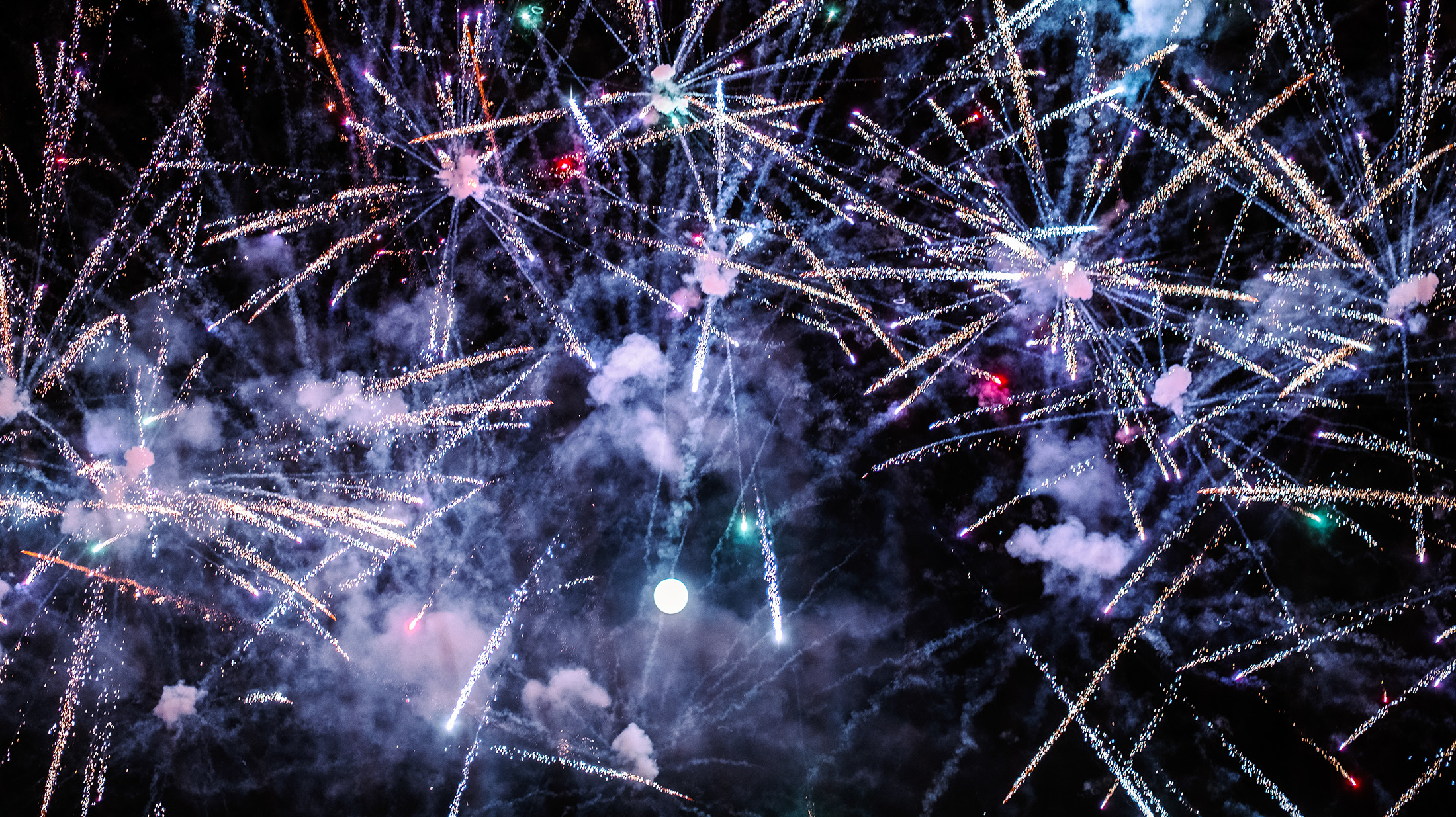 image-50 https://lynette.tssit.com.mx/wp-content/uploads/2024/03/image-50.jpg