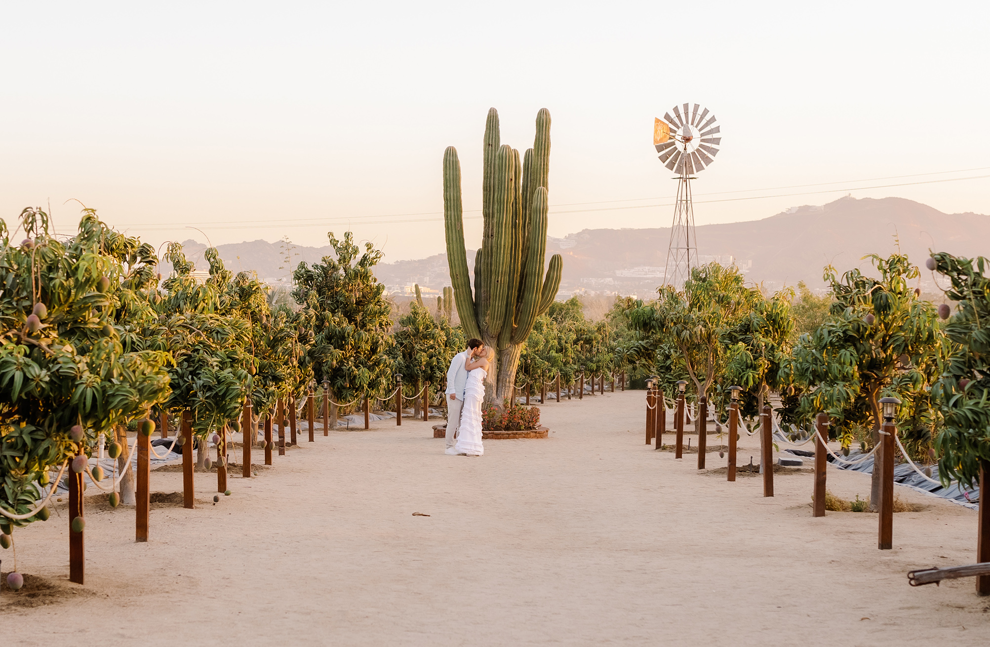 SyR-image-13 https://lynette.tssit.com.mx/wp-content/uploads/2025/09/SyR-image-13.jpg