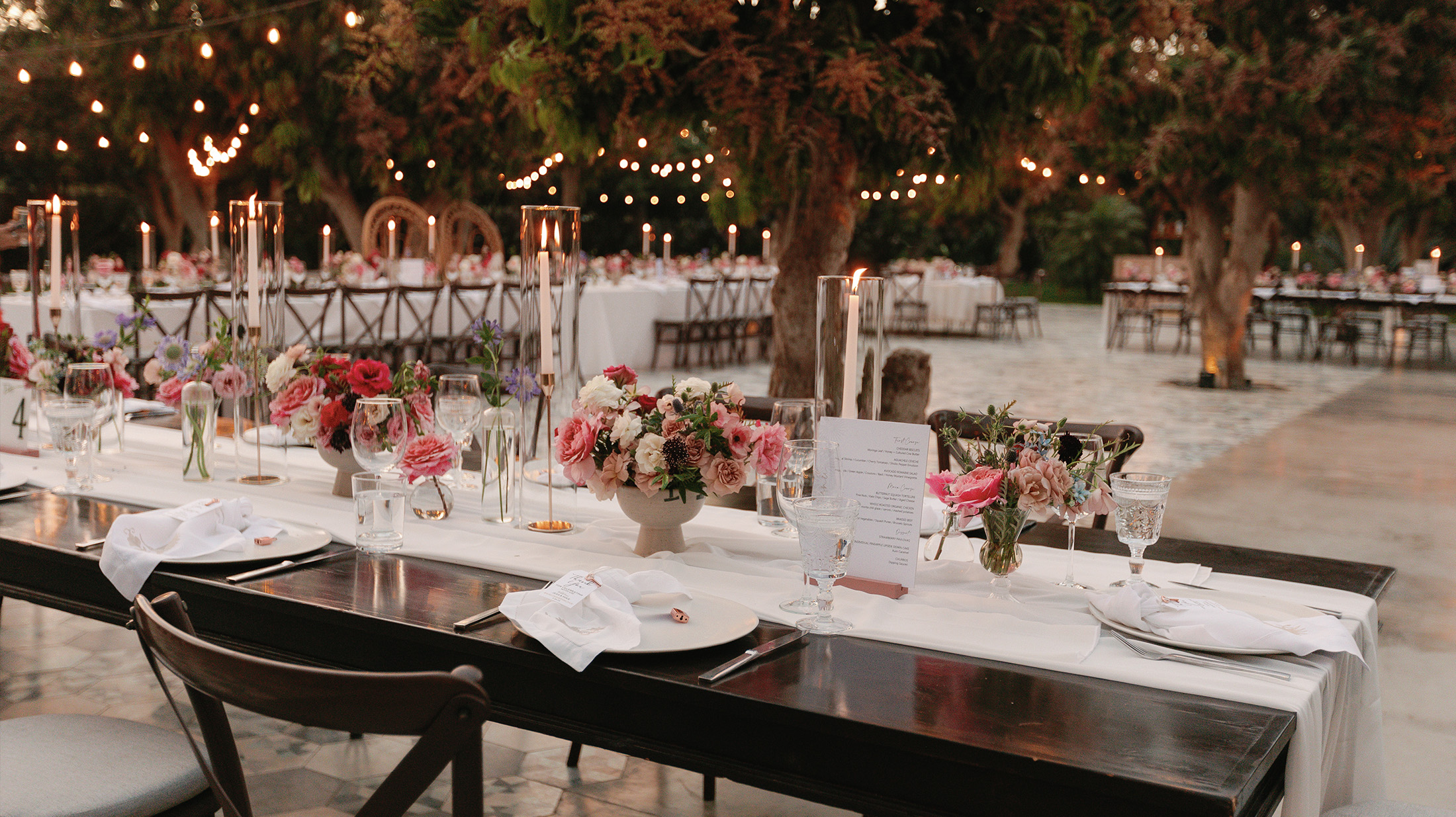 image-2 https://lynette.tssit.com.mx/wp-content/uploads/2025/09/image-2.jpg