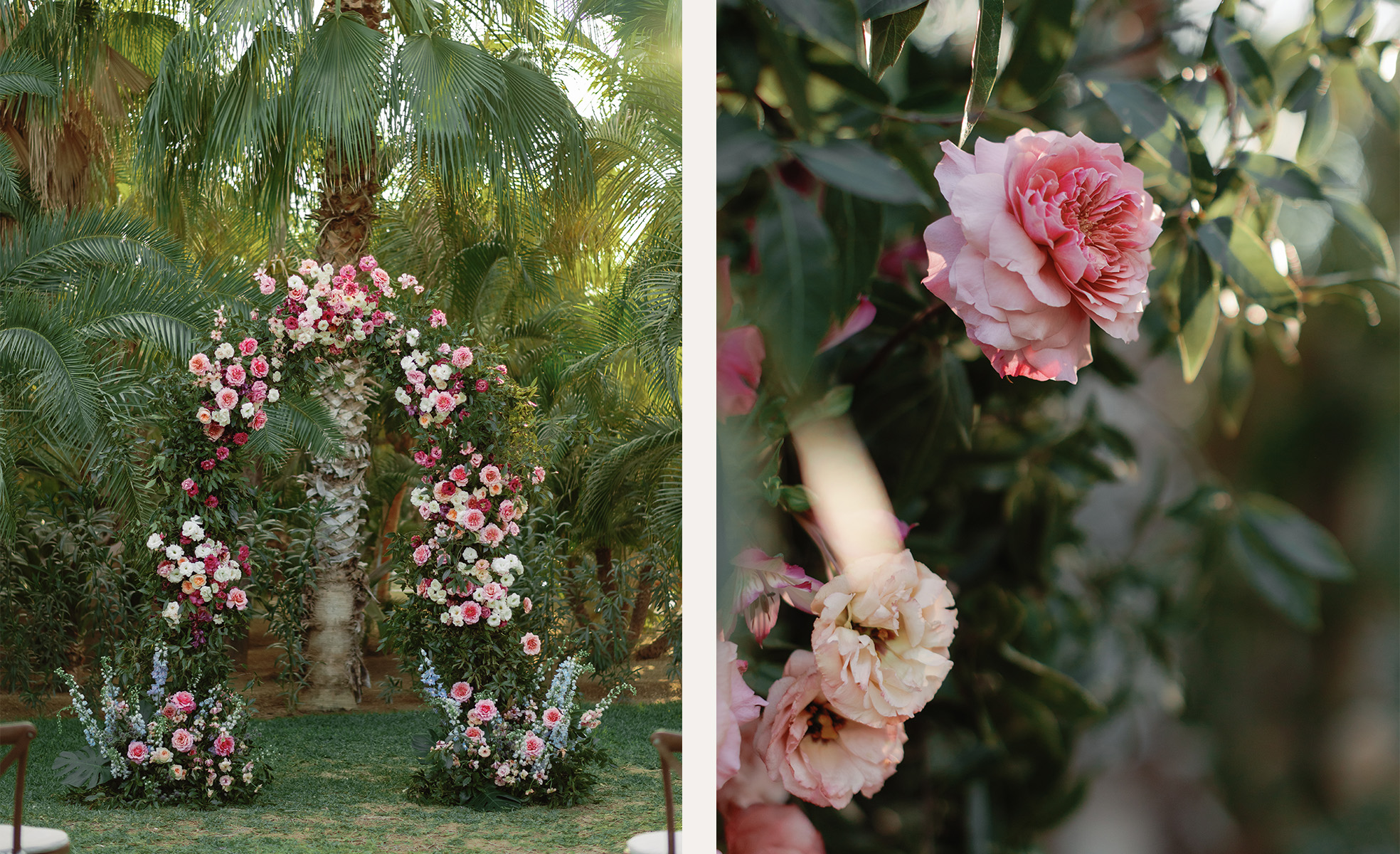 image-3 https://lynette.tssit.com.mx/wp-content/uploads/2025/09/image-3.jpg