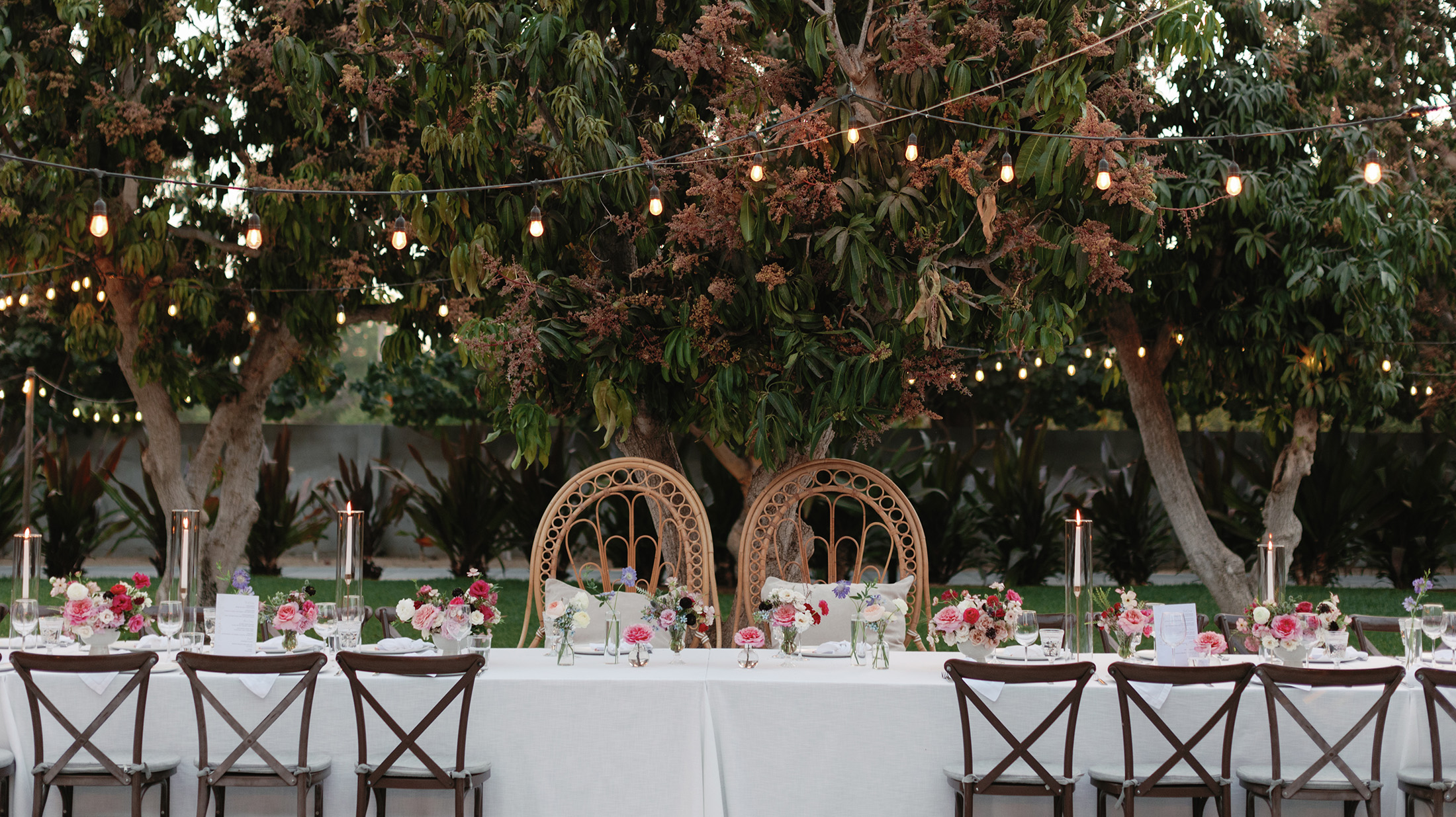 image-6 https://lynette.tssit.com.mx/wp-content/uploads/2025/09/image-6.jpg