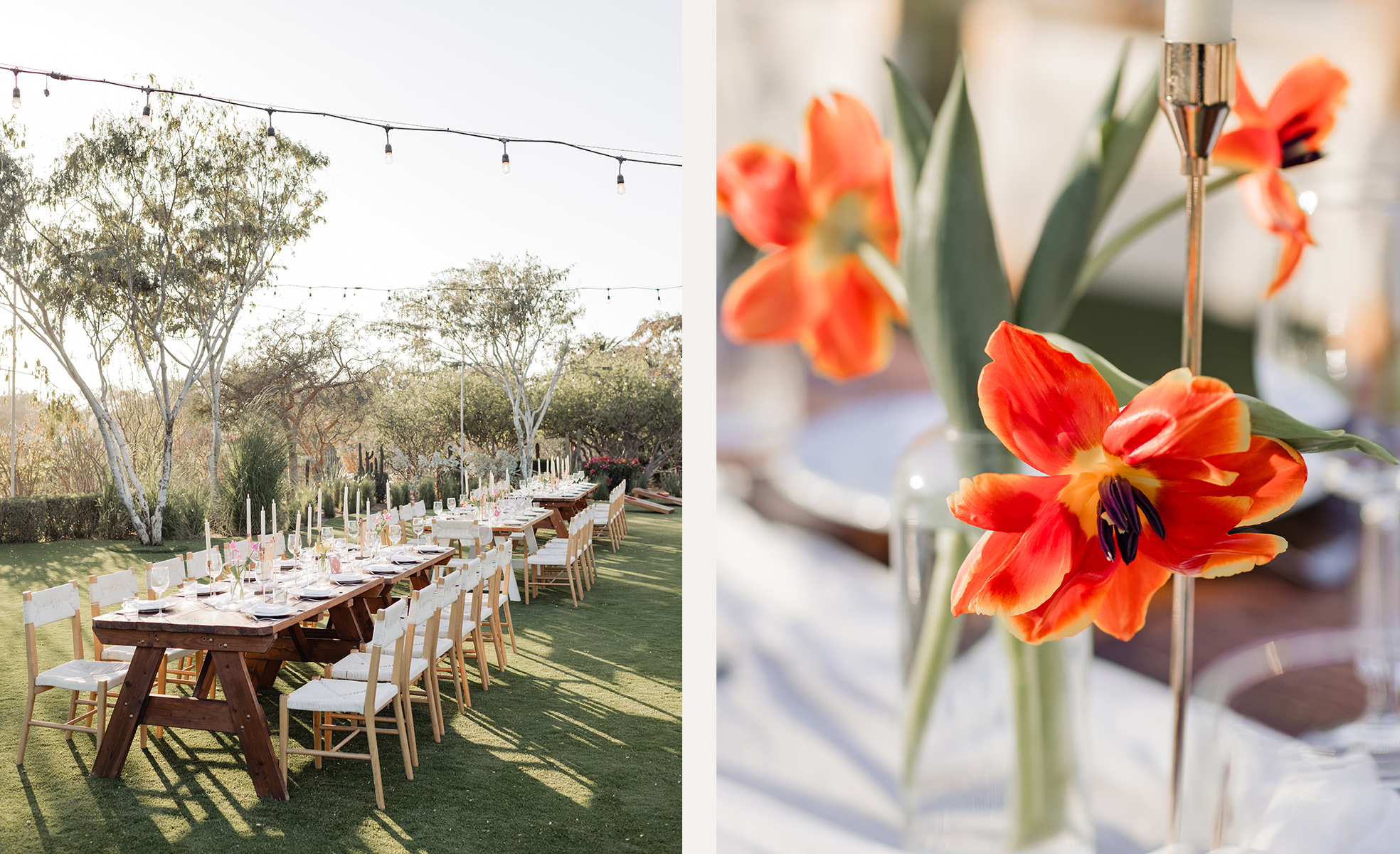 CyK-image-7 https://lynette.tssit.com.mx/wp-content/uploads/2025/10/CyK-image-7.jpg