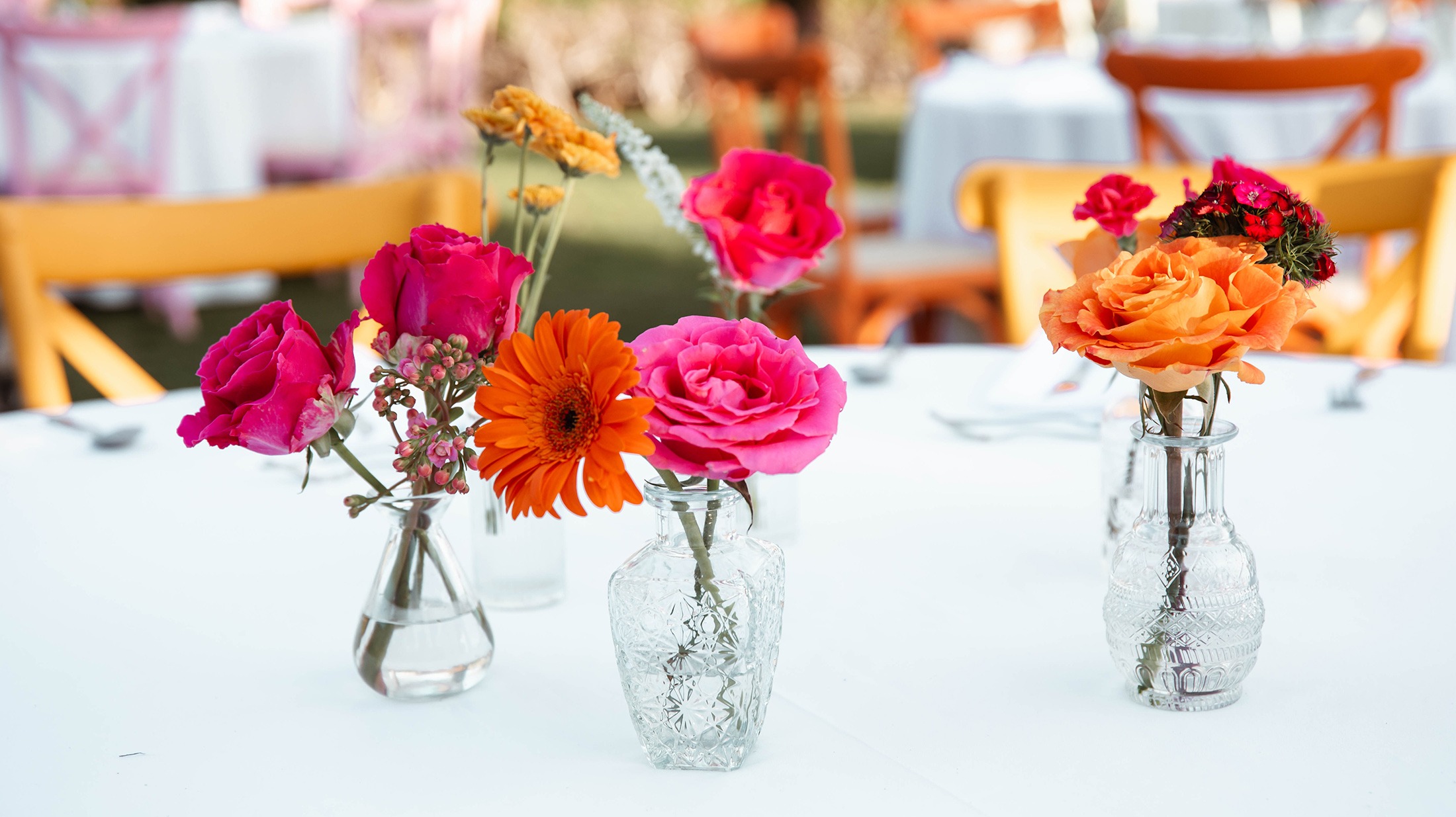 SyB-image-4 https://lynette.tssit.com.mx/wp-content/uploads/2025/10/SyB-image-4.jpg