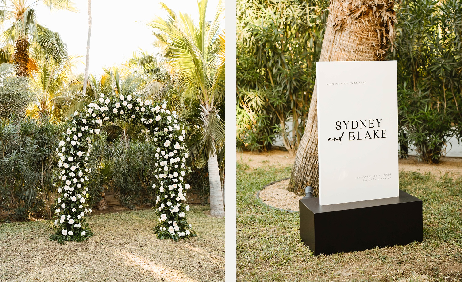 SyB-image-9 https://lynette.tssit.com.mx/wp-content/uploads/2025/10/SyB-image-9.jpg