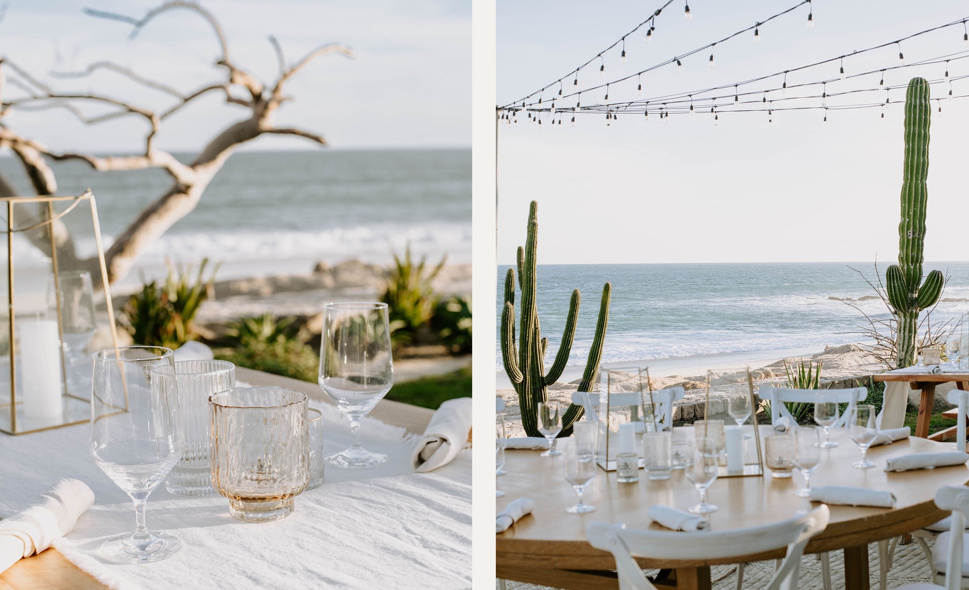 CyM-image-5 https://lynette.tssit.com.mx/wp-content/uploads/2026/01/CyM-image-5.jpg