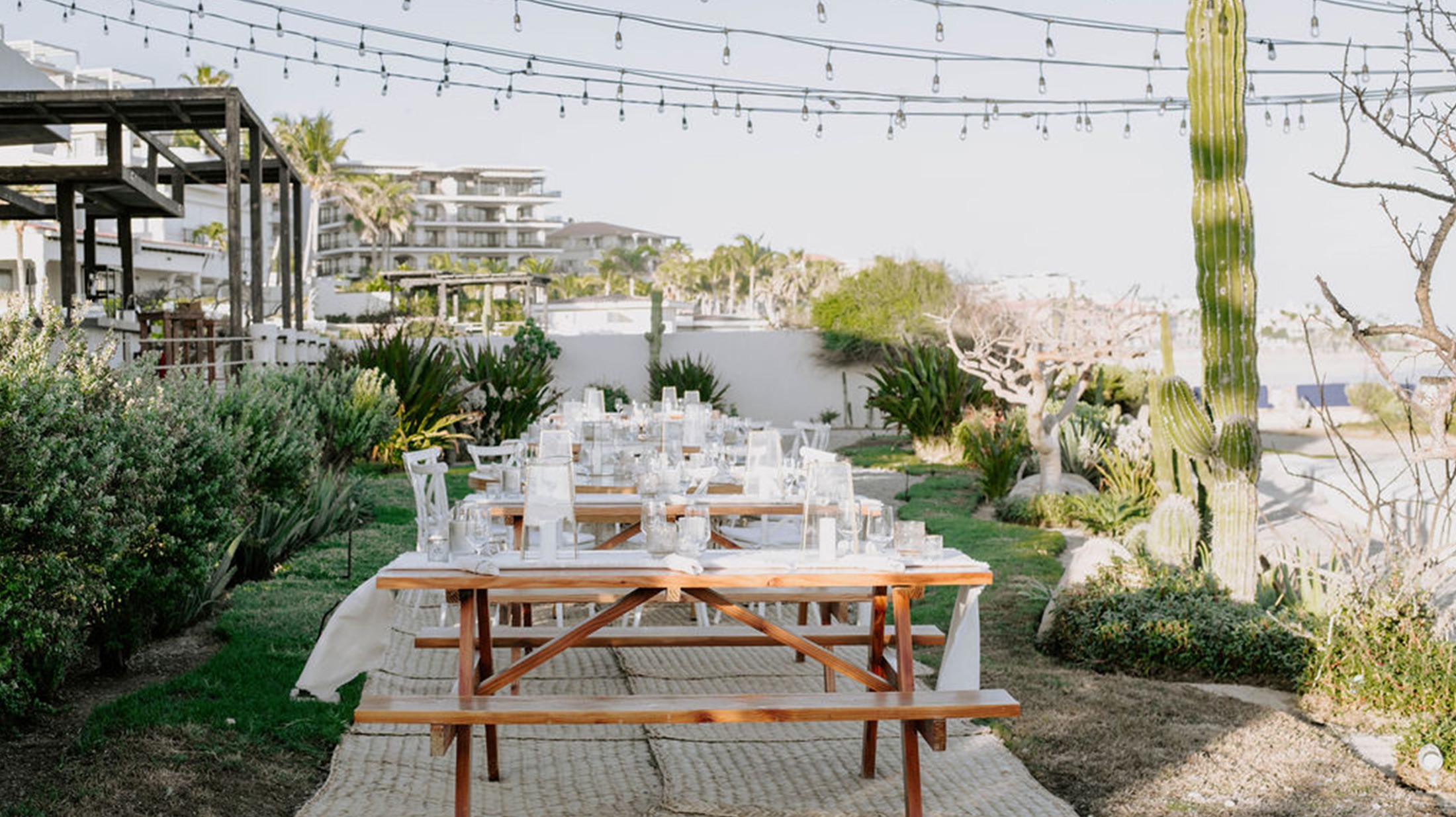 CyM-image-8 https://lynette.tssit.com.mx/wp-content/uploads/2026/01/CyM-image-8.jpg