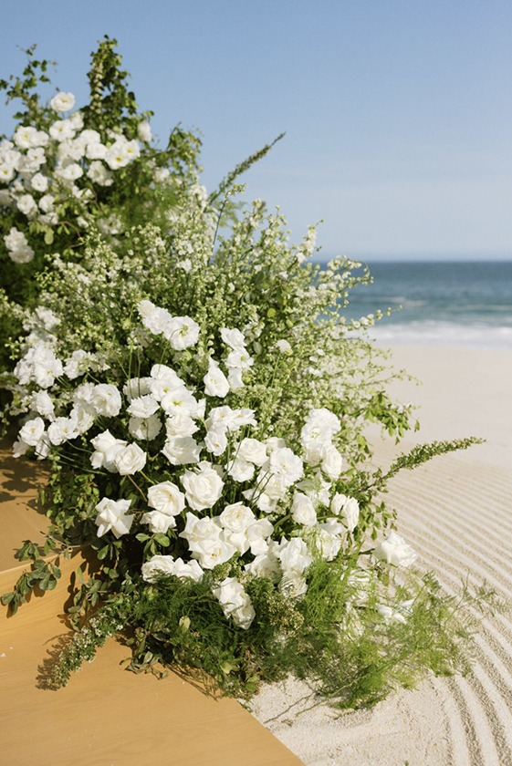 DyM-image-3 https://lynette.tssit.com.mx/wp-content/uploads/2026/01/DyM-image-3.jpg