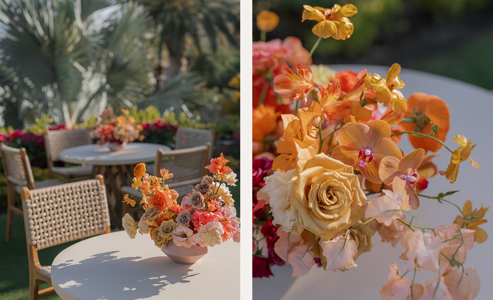 NyB-RD-image-7 https://lynette.tssit.com.mx/wp-content/uploads/2026/01/NyB-RD-image-7.jpg