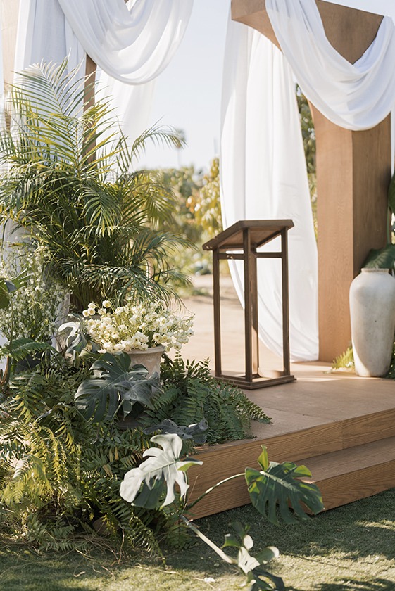 NyB-WD-image-1 https://lynette.tssit.com.mx/wp-content/uploads/2026/01/NyB-WD-image-1.jpg