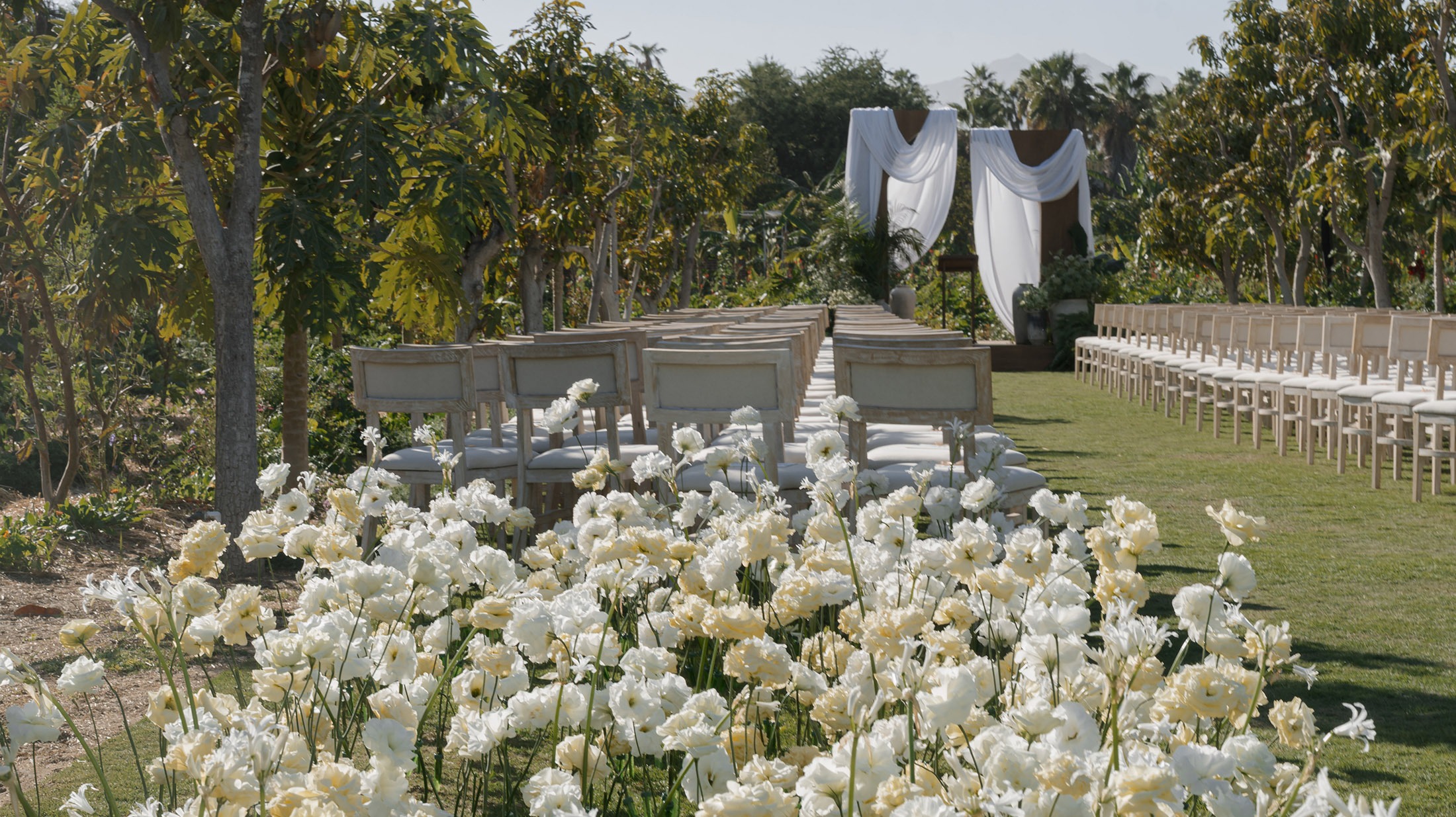 NyB-WD-image-2 https://lynette.tssit.com.mx/wp-content/uploads/2026/01/NyB-WD-image-2.jpg