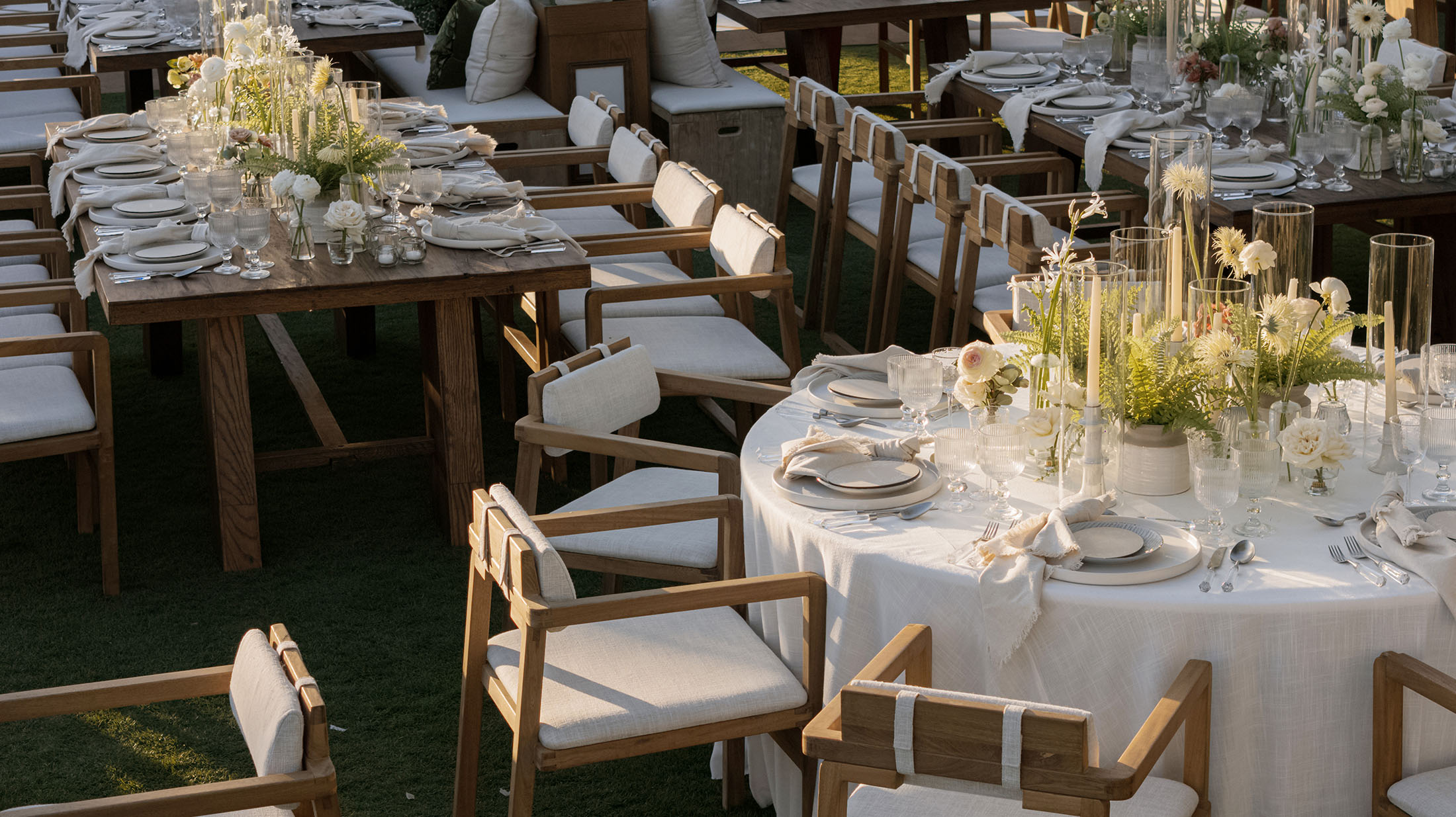 NyB-WD-image-6 https://lynette.tssit.com.mx/wp-content/uploads/2026/01/NyB-WD-image-6.jpg