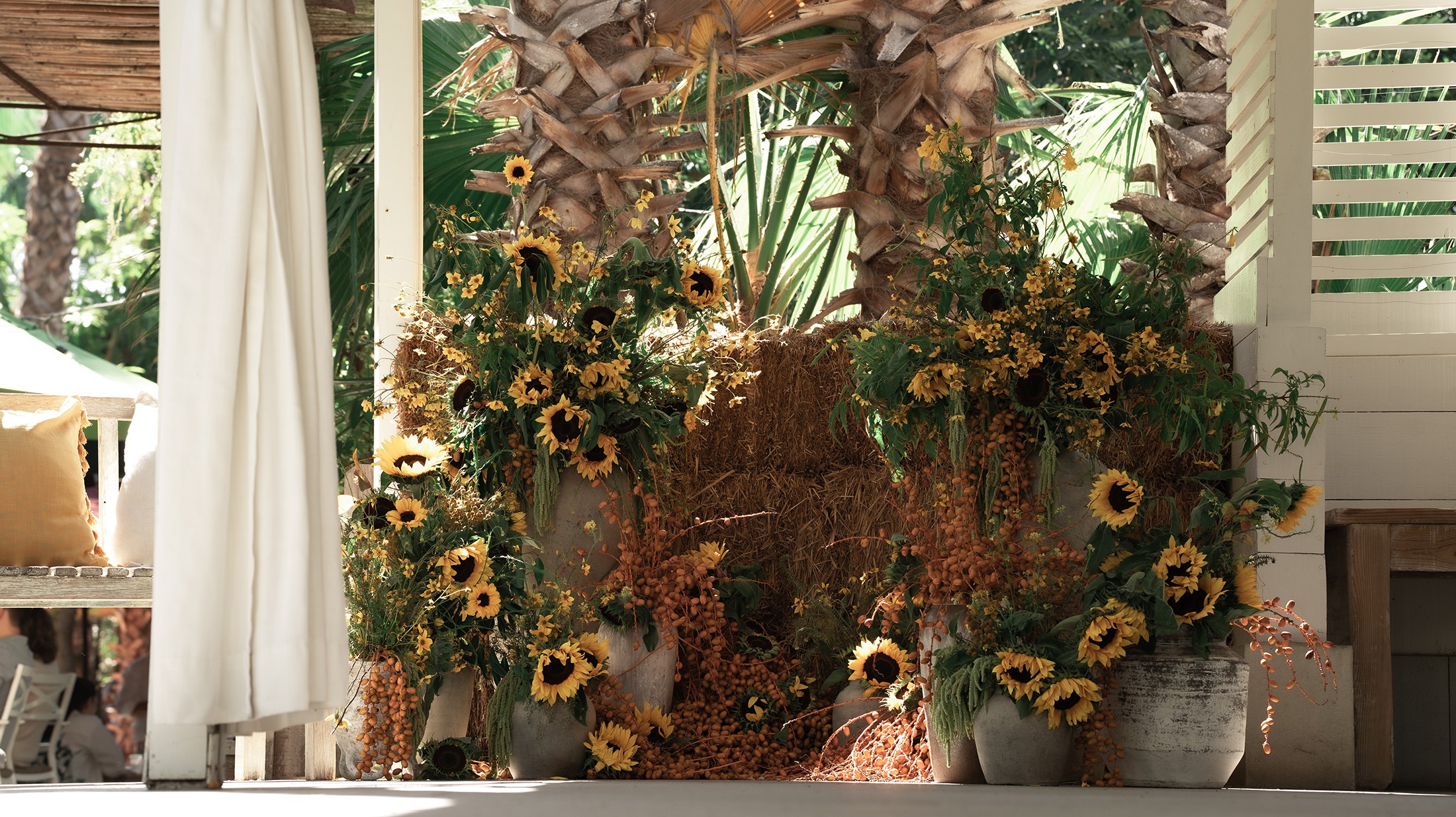 B-BP-image-16 https://lynette.tssit.com.mx/wp-content/uploads/2026/02/B-BP-image-16.jpg