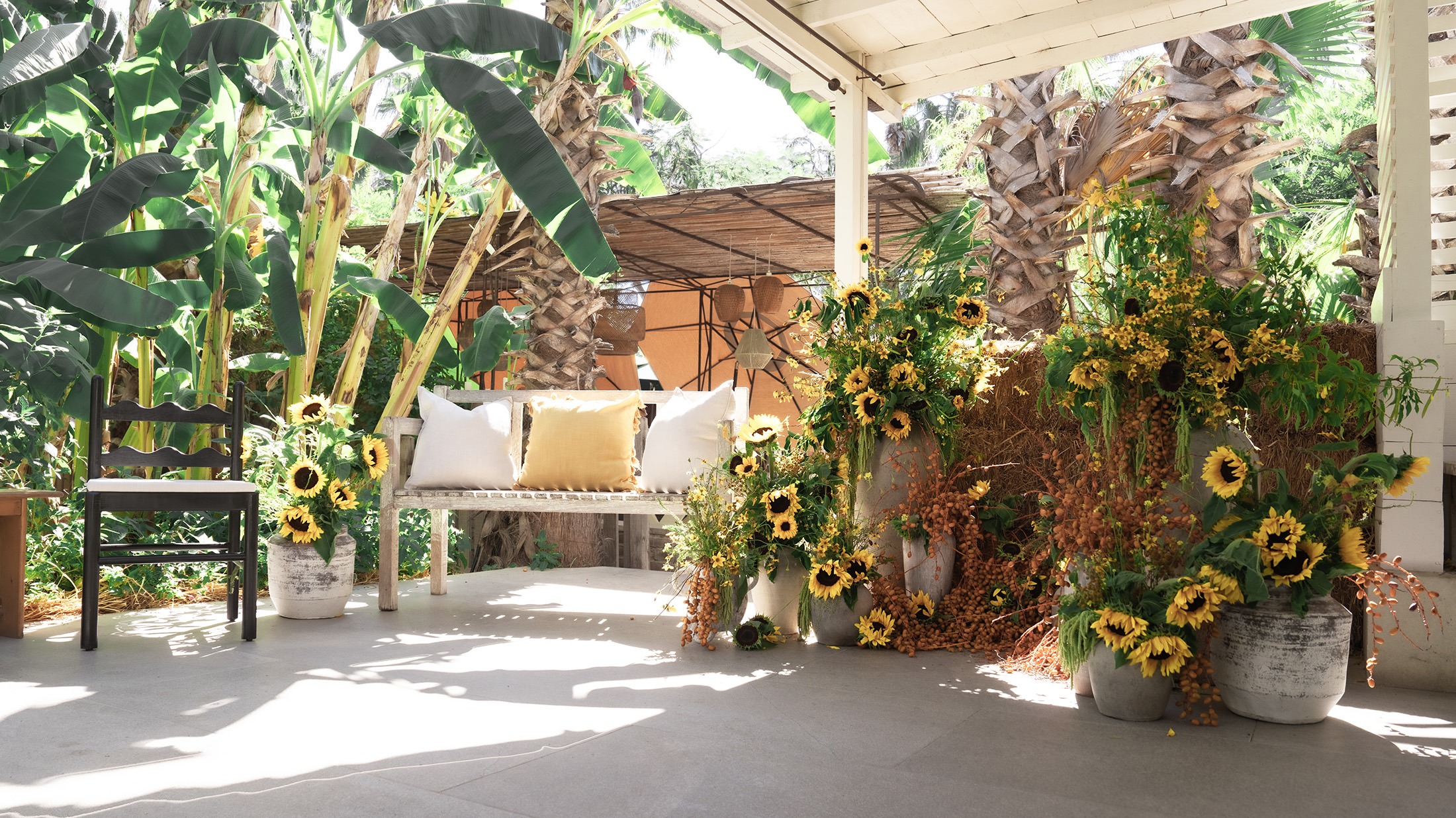 B-BP-image-18 https://lynette.tssit.com.mx/wp-content/uploads/2026/02/B-BP-image-18.jpg