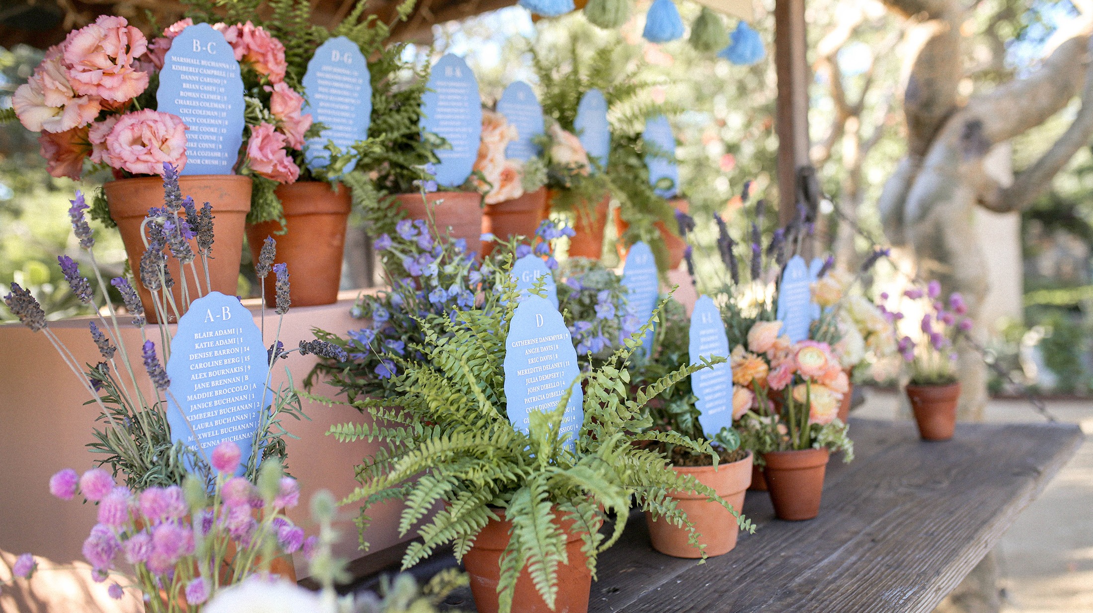 SyG-image-10 https://lynette.tssit.com.mx/wp-content/uploads/2026/02/SyG-image-10.jpg