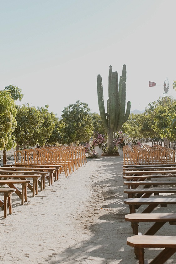 SyG-image-9 https://lynette.tssit.com.mx/wp-content/uploads/2026/02/SyG-image-9.jpg